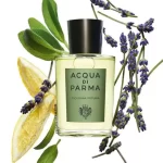 ACQUA DI PARMA Colonia Futura EDC 100 ml - Image 4
